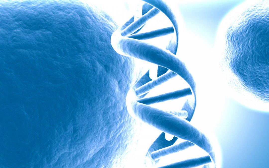 Seule la fraternité peut accueillir durablement la fragilité