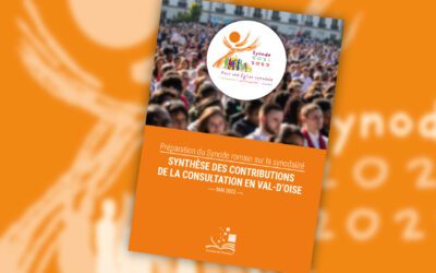 Synode : la synthèse de vos contributions