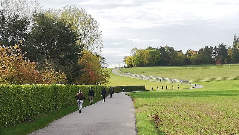 Groupe de jeunes en plein Air