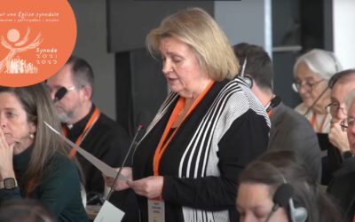 Des nouvelles du synode