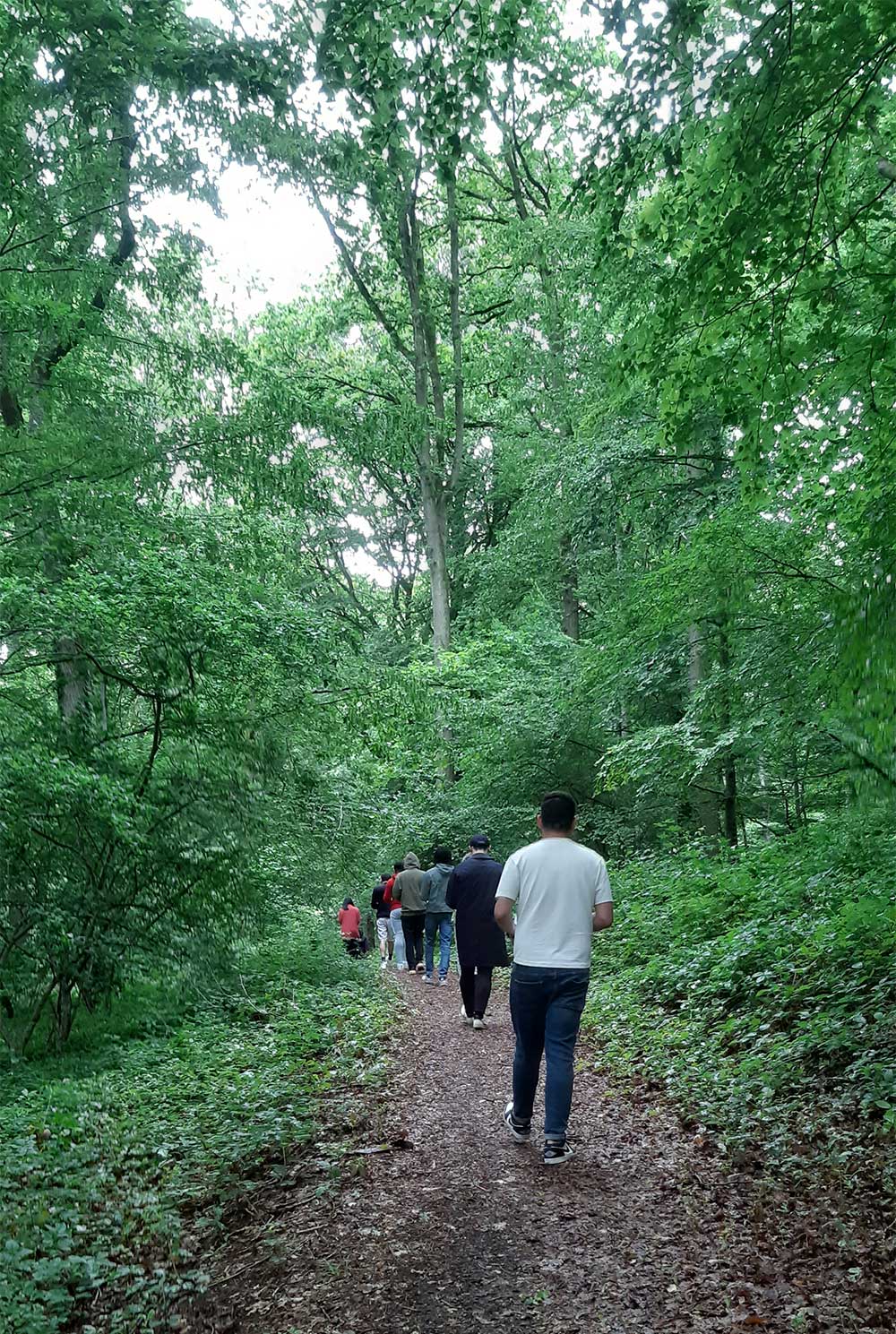 Groupe de jeunes en plein Air