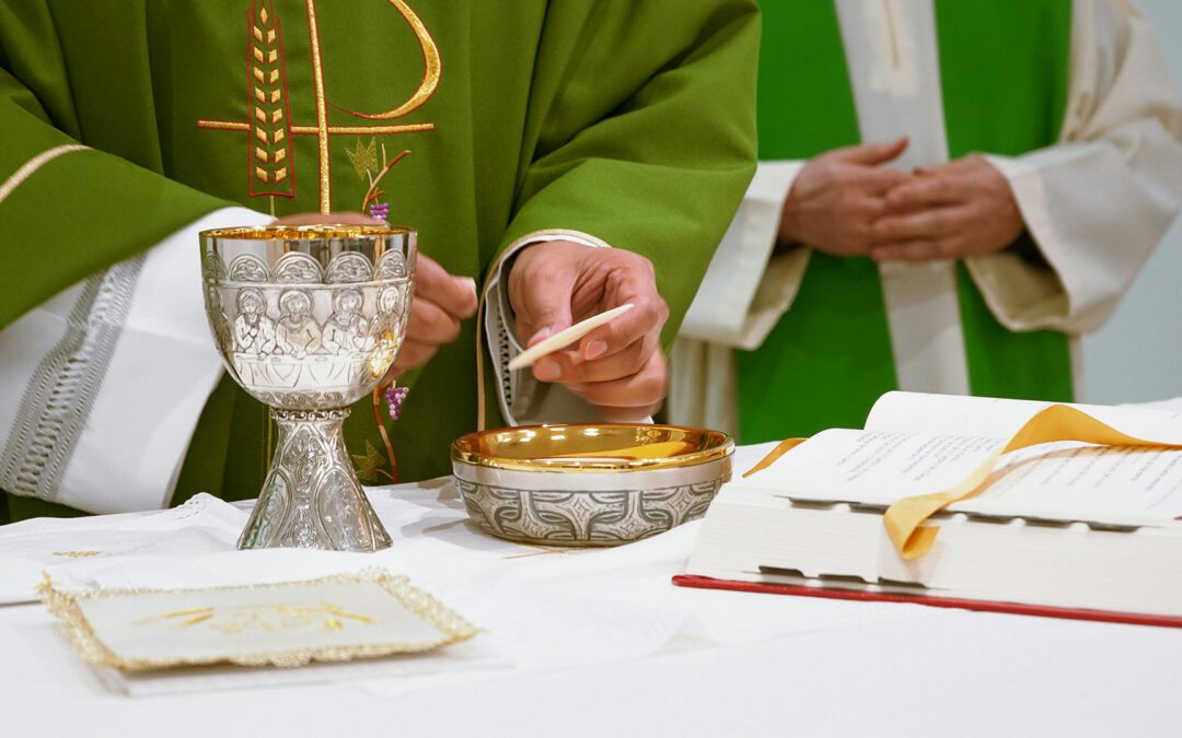 L’appel du pape François à la formation liturgique