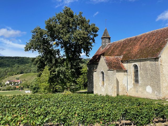 Groupe de jeunes en plein Air